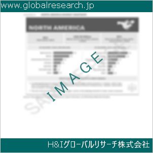グローバルリサーチ調査資料のイメージ